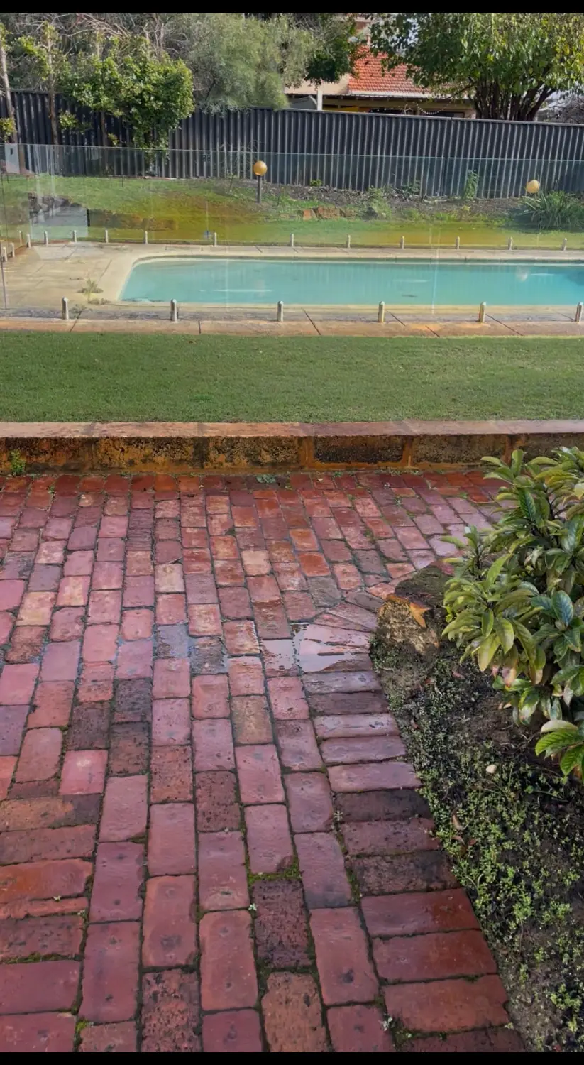 Nedlands rear garden before the design